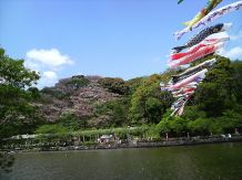 蓮華寺池公園